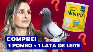 O DIA QUE FIQUEI DOIDA, COMPREI 1 POMBO E 1 LATA DE LEITE NINHO.