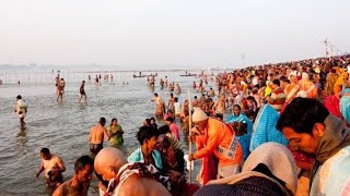 Festival coming soon