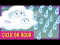 Understanding the Water Cycle Concepts