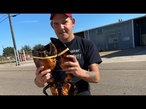 15 lb Lobster boil | New Orleans style