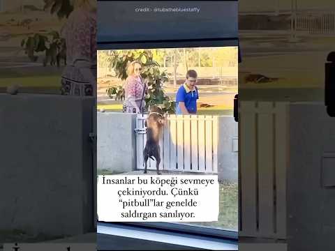 Ne derler bilirsin derinliğini bilmediğin suya balıklama atlama Ama Bu Çok Tatlıııişşş🥰😍🫶🏼