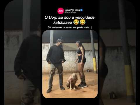 O Dog: Eu sou a velocidade katchaaau 😂😂 #cachorro #memes #shorts