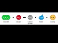 Cellular Respiration Concepts