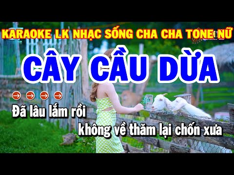 Karaoke Nhạc Sống Liên Khúc Tone Nữ Cha Cha Cha | Cây Cầu Dừa – Mấy Nhịp Cầu Tre | Thanh Hải