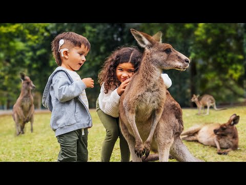 Our Kids Got Surrounded by Kangaroos in Australia!!!