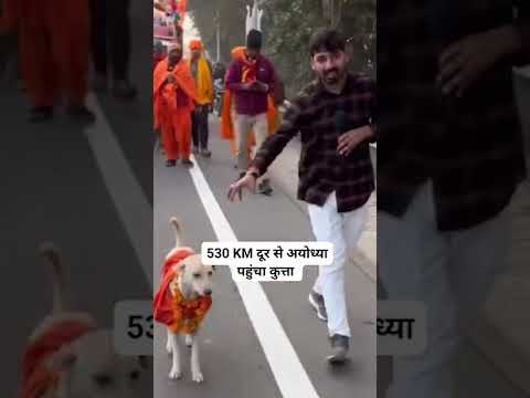 Ayodhya pahunche Dog ne ki yeh prarthana