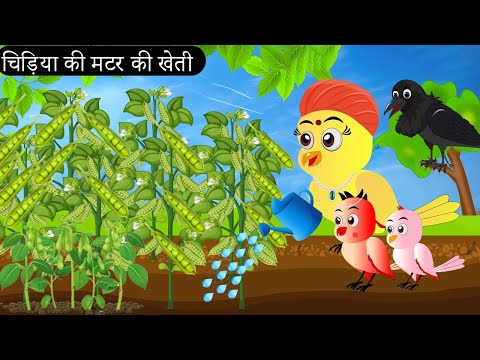 गरीब चिड़िया की मटर की खेती | Chidiya Wala Cartoon | Tuni Achi Achi Hindi Kahani | Chichu TV Birds