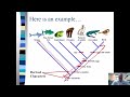 Dichotomous Keys and Cladograms