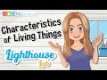 Characteristics of Living Things Explored