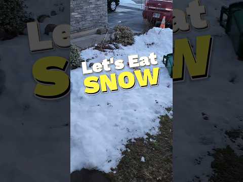 Eating Snow ❄️