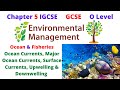 Ocean Currents and Upwelling Concepts