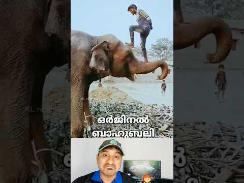 ഇവൻ ആയിരുന്നോ അപ്പൊ ഒർജിനൽ ബഹുബലി #shortvideo #trend #reactionvideo #shorts