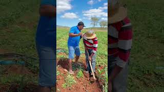 #agro