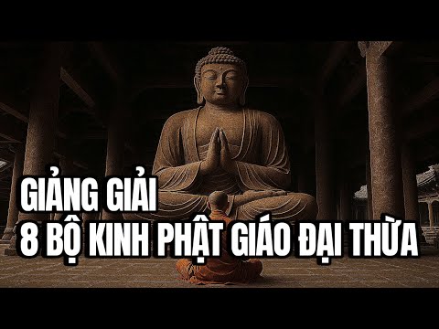 Nghe trước khi đi ngủ, sẽ ngủ rất ngon