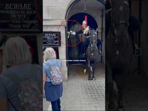 “Emergency at Horse Guards! Guard Spots Trouble & Hits the Panic Button!” #Shorts