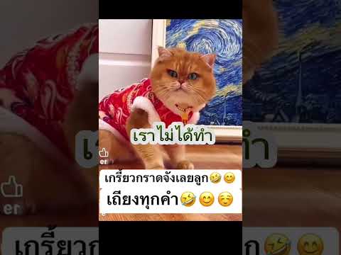 เถียงเก่ง