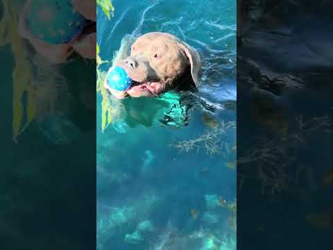 Fish biting everything but the lure