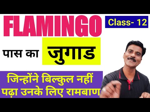 Flamingo All chapters in one class | Class 12 Flamingo most questions