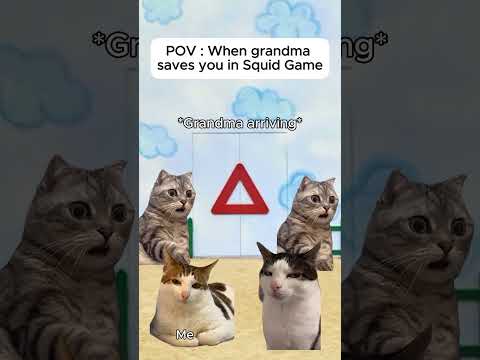 Cat memes 🐱 When grandma saves you in Squid Game (Part 2)#relatable #cat #catshorts #shorts #grandma