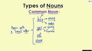 Common Nouns (explanation with examples)