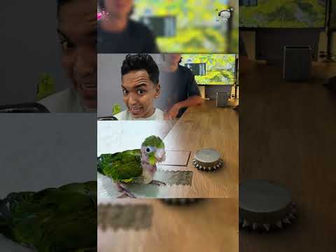 #funny #humor #viralvideo #comedy #parati #funnyvideo 🤣🤣