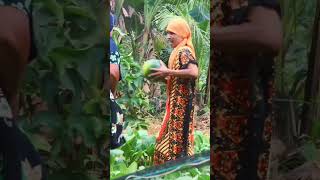 Kumpulan video lucu #ngakak #komedi #dramakomedi 