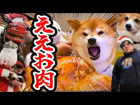 今更クリスマスと正月が襲ってくるだと⁉…2025年1月撮影、4月投稿(;'∀')…