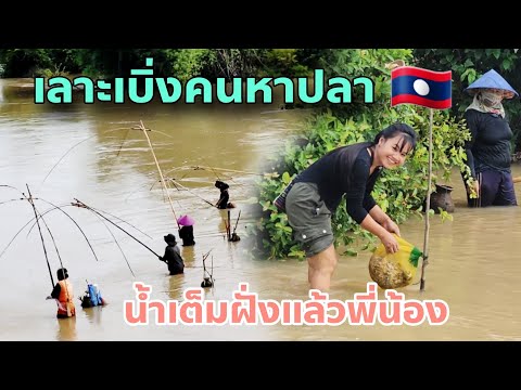 ฝนตกทุกวัน น้ำนองเต็มฝั่ง คนยกยอเอาปลากันเยอะมาก | 14 กันยายน 2024