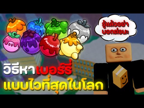 วิธีหาเบอร์รี่แบบไวที่สุดในโลกรู้แล้วอย่าบอกต่อ [Blox Fruits]