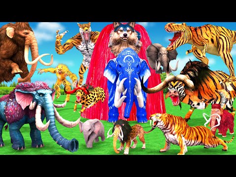 10 Mammoth Elephant Cow vs 5 Giant Tiger Wolf vs Cheetah Bull Fight Cow Baby Save by Woolly Mammoth