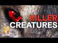 Tsavo Man-Eaters and Cryptids