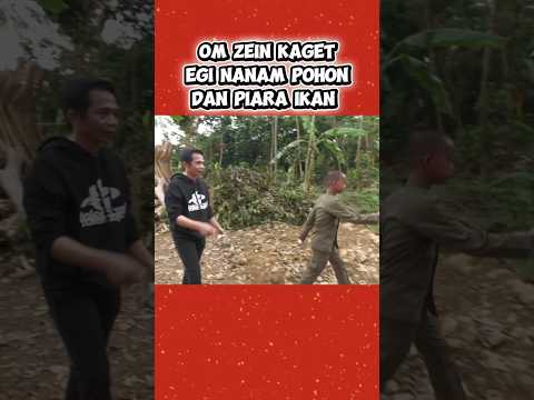 om Zein kaget Egi nanam pohon dan piara ikan