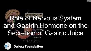 Role of Nervous System and Gastrin Hormone on the Secretion of Gastric Juice