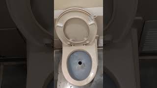 Toilet Flushing #toilet #flushing #flushingtoilets  #shorts