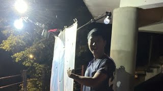 【0730點燈直播】｜高山鋸針蟻、畢氏舉尾蟻｜臺灣蟻窟