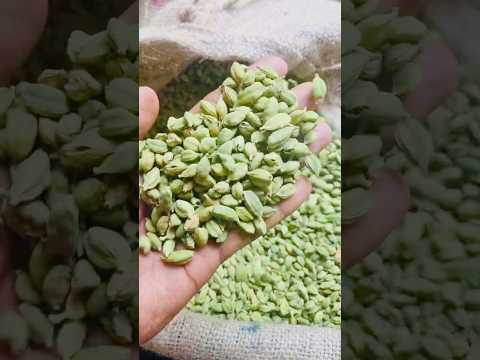 ഏലയ്ക്കbusiness 🤑idukki #cardamom #chenni  #music #love #mumbai #tamil #india #kerala #Delhi #mallu