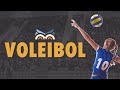 Conceitos Básicos do Voleibol