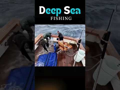 Deep sea fishing #viral #nature #ytshorts #video