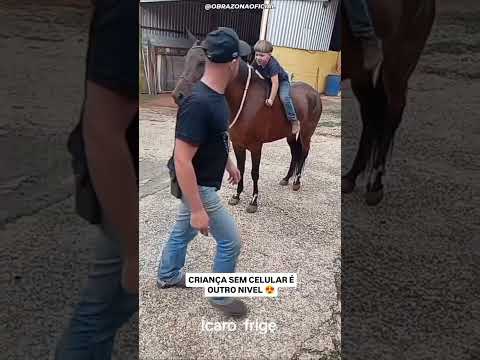 Criança raiz #somdamarcha #cavalos #cowboys #mangalarga