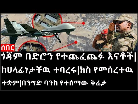 Ethiopia:ሰበር ዜና-የኢትዮታይምስ የዕለቱ ዜና |ጎጃም በድሮን የተጨፈጨፉ እናቶች|ከሀላፊነታቸዉ ተባረሩ|ክስ የመሰረተዉ ተቋም|በንግድ ባንክየተሰማው ቅሬታ