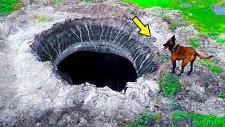 Un Perro Ladra Sin Parar Al Descubrir De Forma Asombrosa ¡Un Enorme Socavón En Su Patio Trasero!