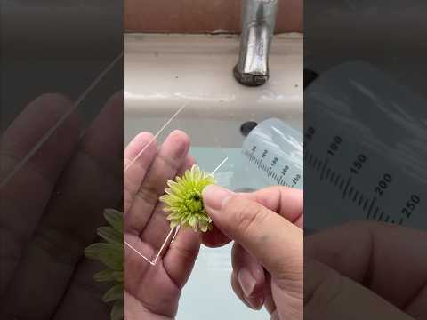Nano tape DIY: Chrysanthemum rotating in water#nanotape #handmade #flowers #diy