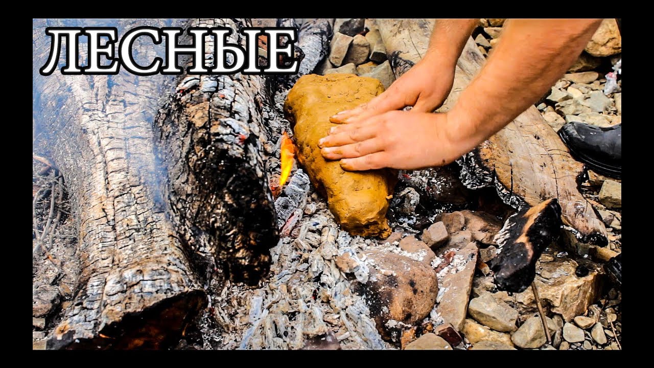 Дикая кухня - рыба в глине steamed fish in clay