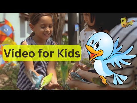 Birds for Kids to Watch | Birdwatching for Babies | Bird Cam for Kids to Watch