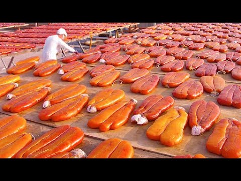 How Mullet Roe Extracted & Processed in Fish Roe Factory - Skilled Workers Process Mullet Roe!