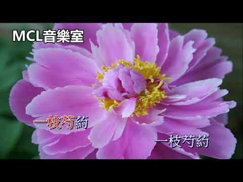 一枝芍藥  汪明荃 (伴唱)