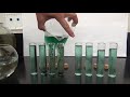 Photosynthesis and Cellular Respiration Lab