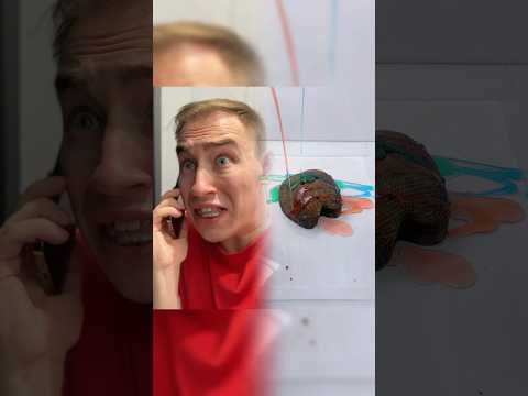 САНТА БАРБАРА КОТОРУЮ ВЫ ЗАСЛУЖИЛИ #shorts#funny#YouTube#game