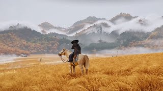 New 'Ghost of Yotei' GAMEPLAY..