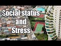 Social Status and Health Implications